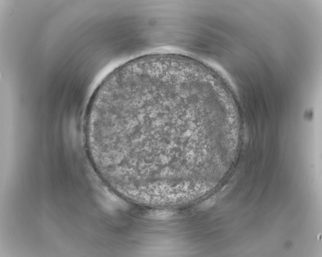 X0000093141278200710241335