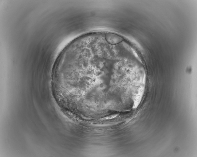 X0000093141279200710241335