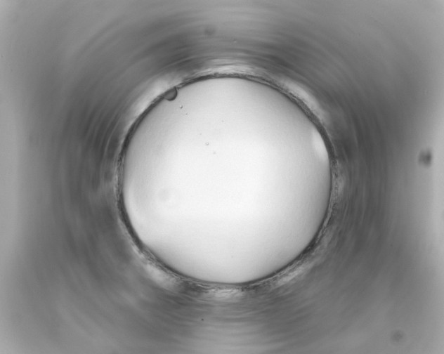 X0000093141282200710241335