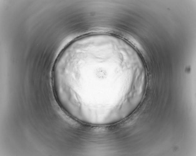 X0000093141283200710241335