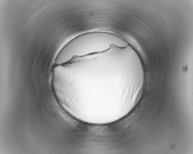 X0000093141284200710241335