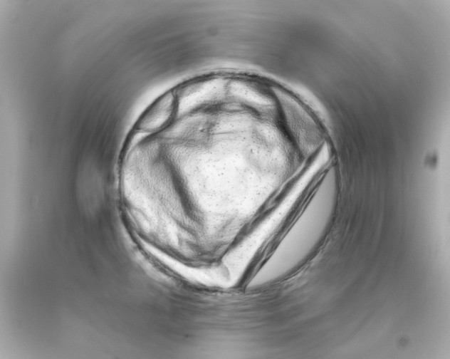 X0000093141287200710241335