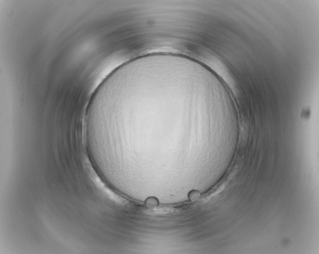 X0000093141290200710241335