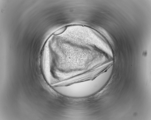 X0000093141292200710241335