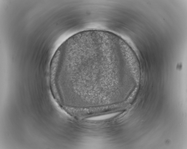 X0000093141295200710241335