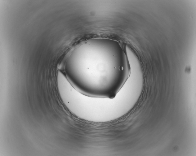 X0000093141298200710241334