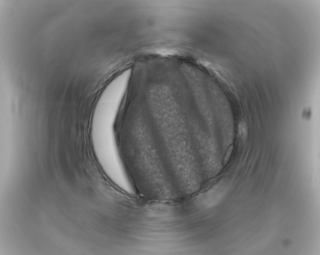 X0000093141300200710241334