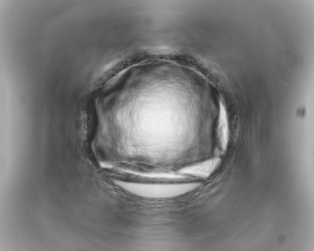 X0000093141301200710241334