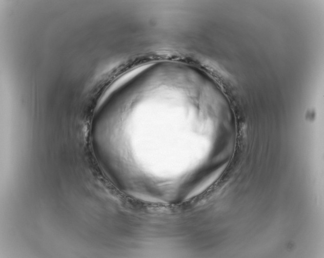 X0000093141302200710241334