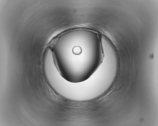 X0000093141308200710241334