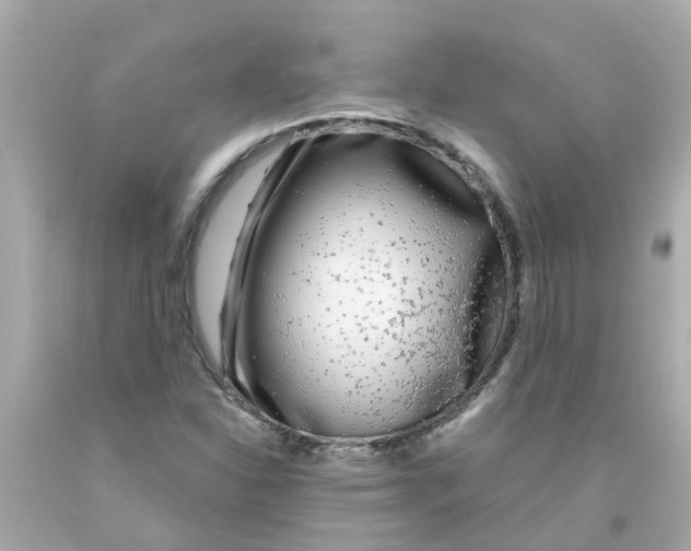 X0000093141310200710241334