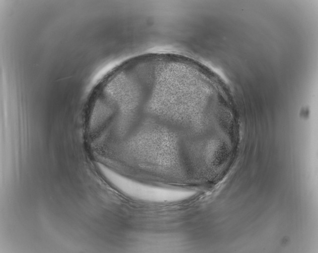 X0000093141311200710241334