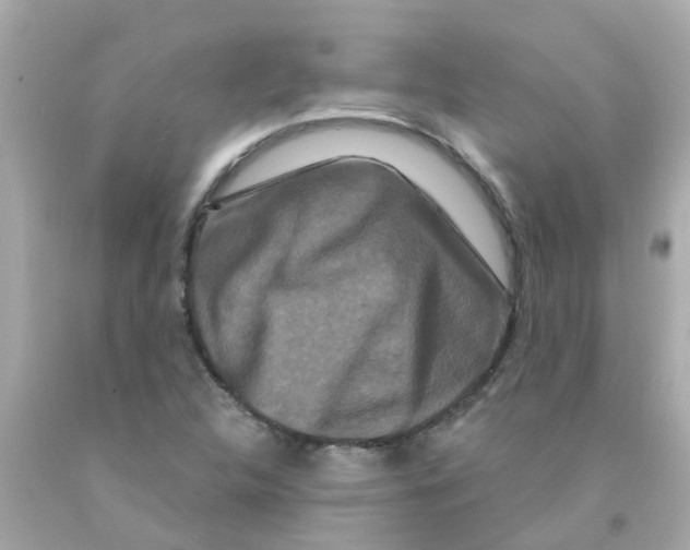 X0000093141312200710241334