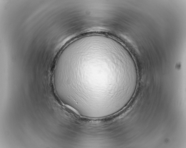 X0000093141313200710241334