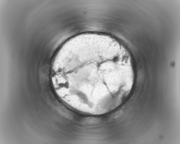 X0000093141314200710241334