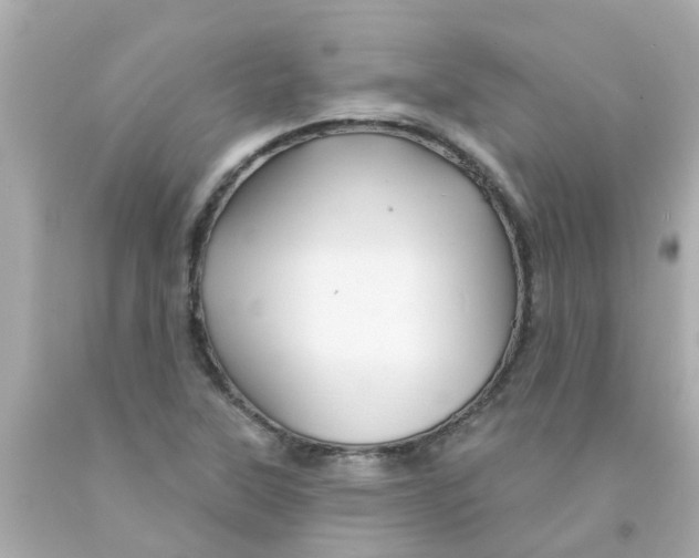 X0000093141315200710241334