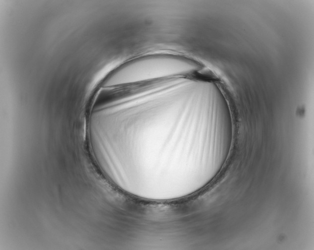 X0000093141317200710241334