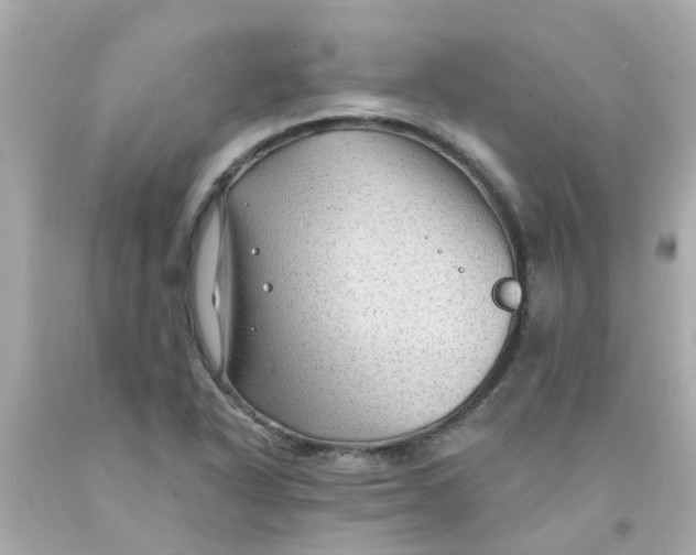 X0000093141318200710241334