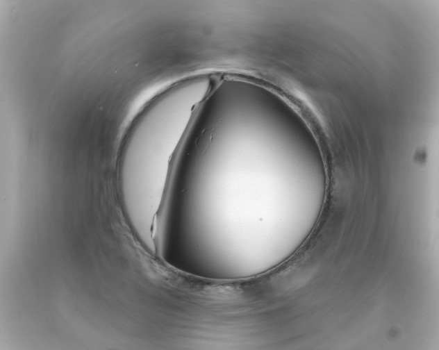 X0000093141320200710241334