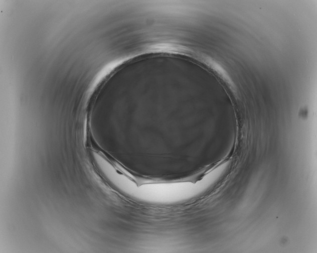 X0000093141323200710241334