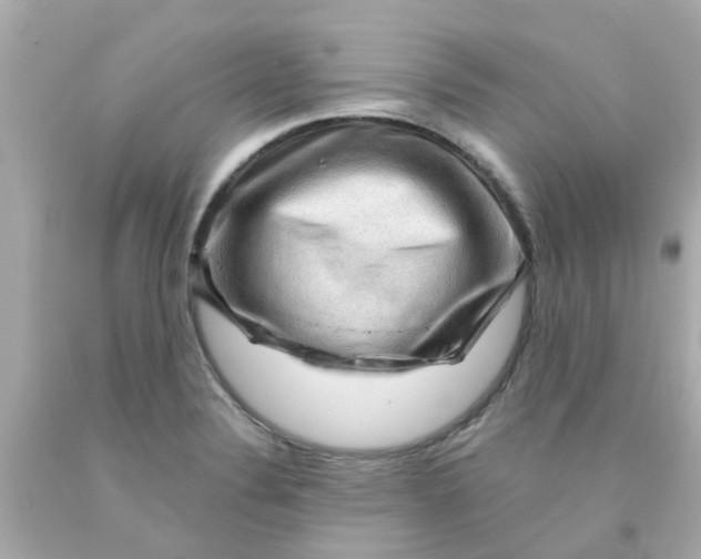 X0000093141324200710241334