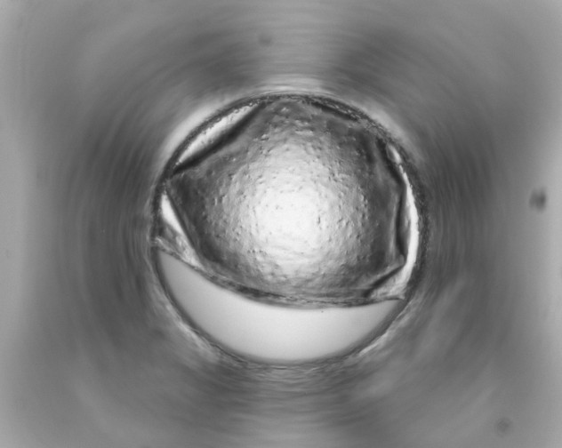 X0000093141325200710241334