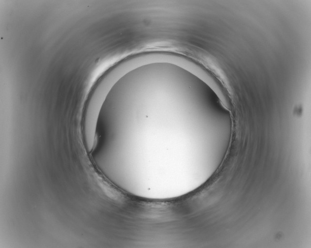 X0000093141328200710241335