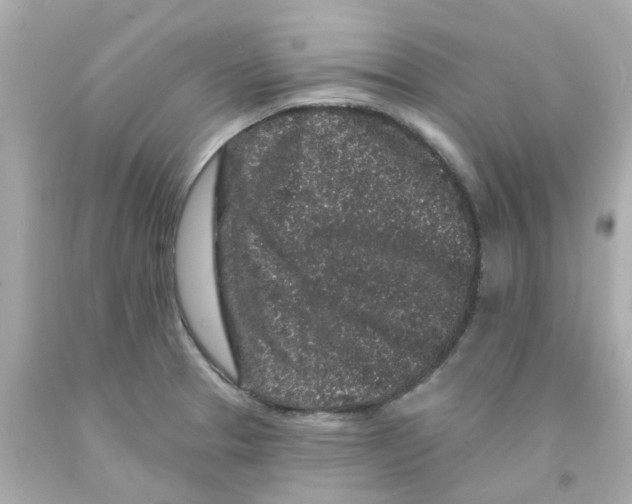 X0000093141329200710241335