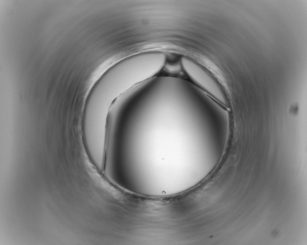 X0000093141330200710241335