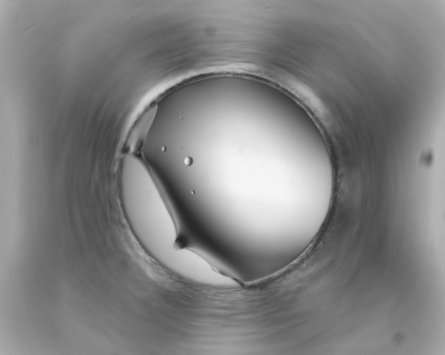 X0000093141332200710241335