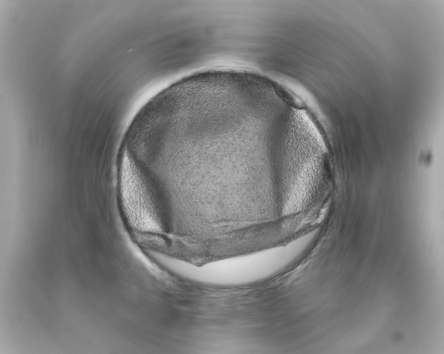 X0000093141335200710241335