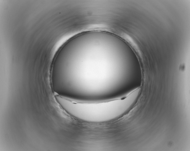 X0000093141336200710241335