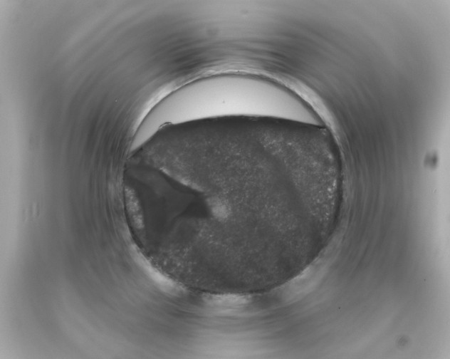 X0000093141337200710241335