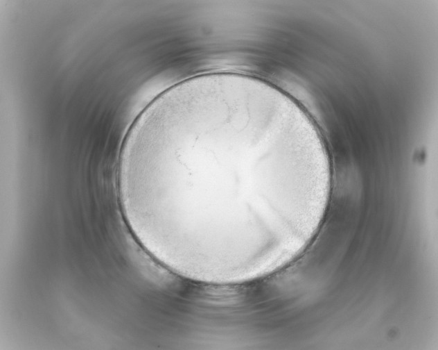 X0000093141338200710241335