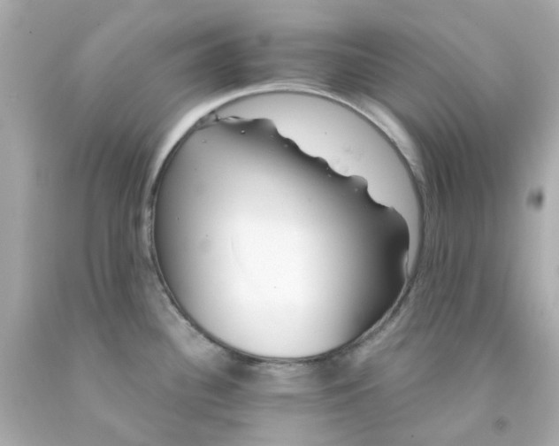 X0000093141340200710241335