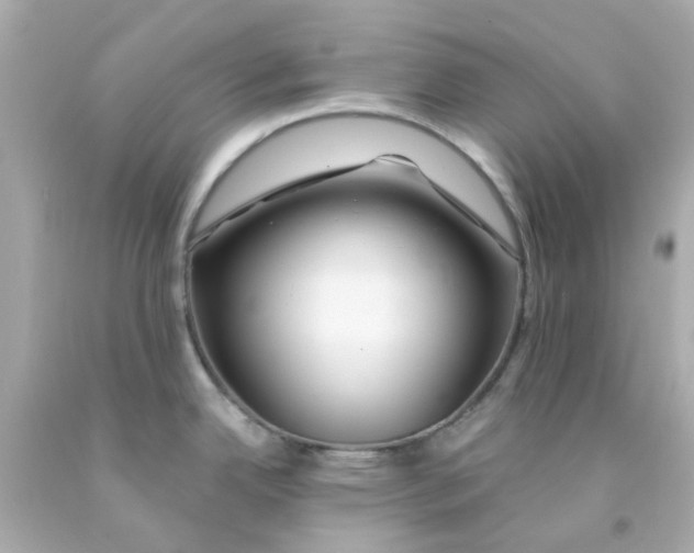 X0000093141342200710241335