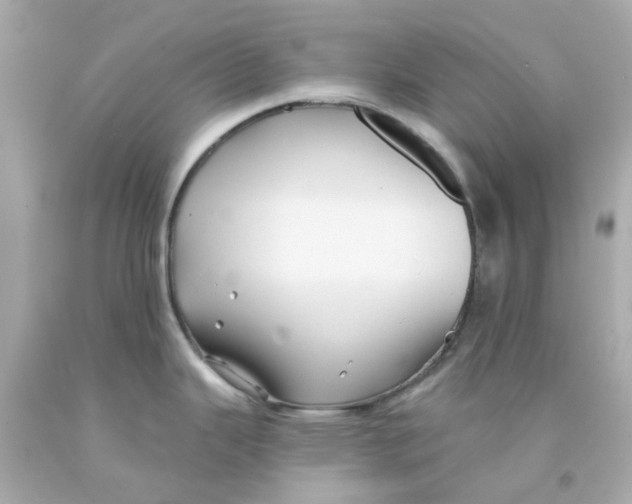 X0000093141343200710241335