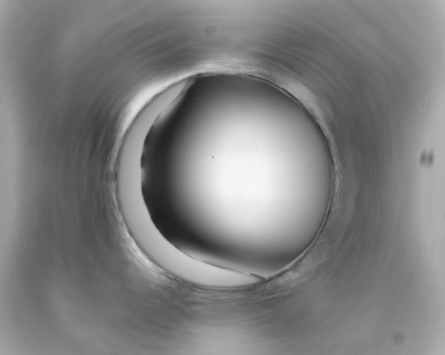 X0000093141344200710241335