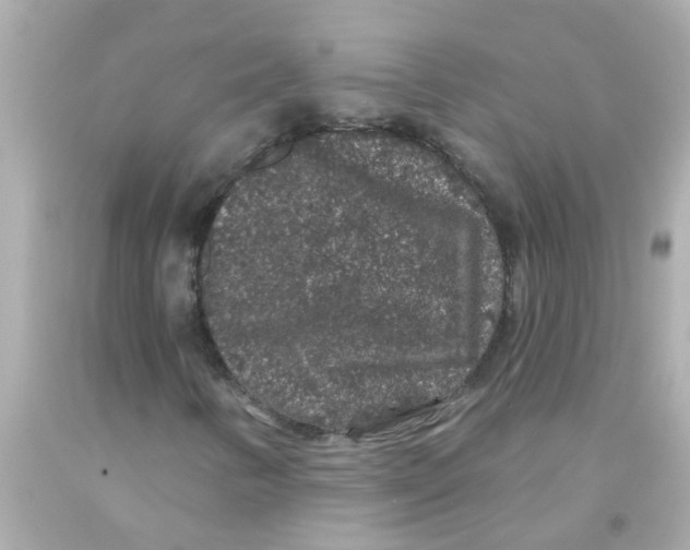 X0000093141346200710241334