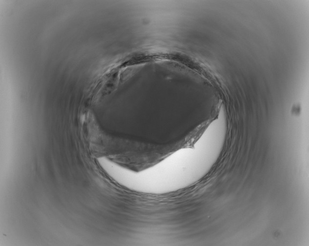 X0000093141348200710241334