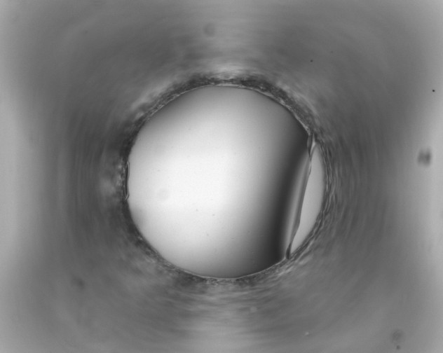 X0000093141349200710241334