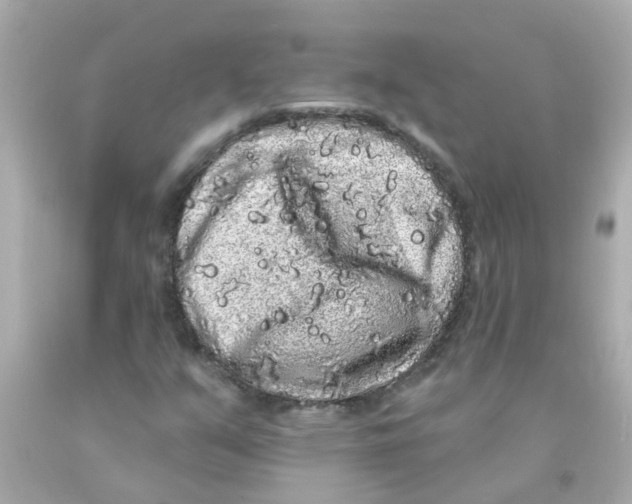 X0000093141351200710241334