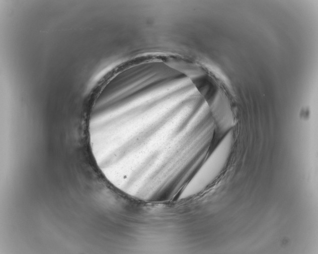 X0000093141352200710241334