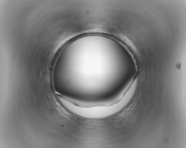 X0000093141356200710241334