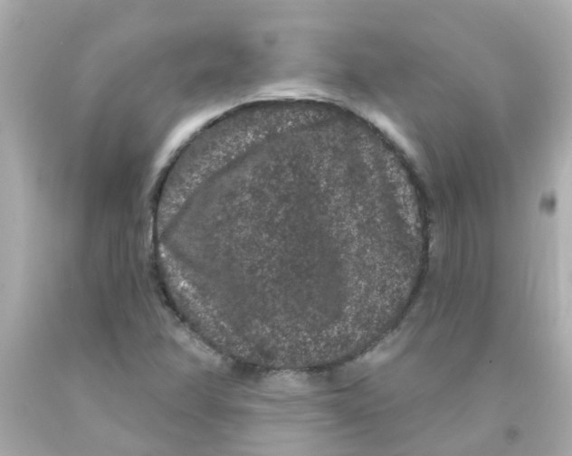 X0000093141358200710241334