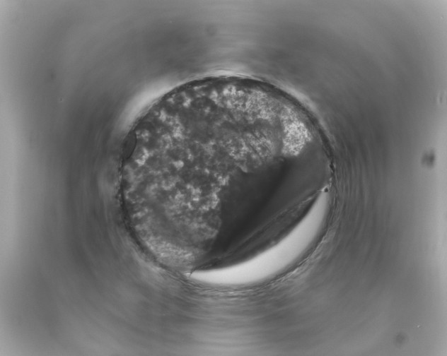 X0000093141359200710241334