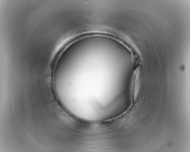 X0000093141360200710241334