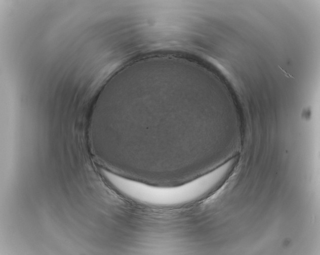 X0000093141361200710241334