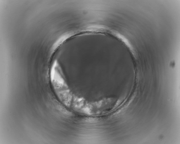 X0000093141362200710241334