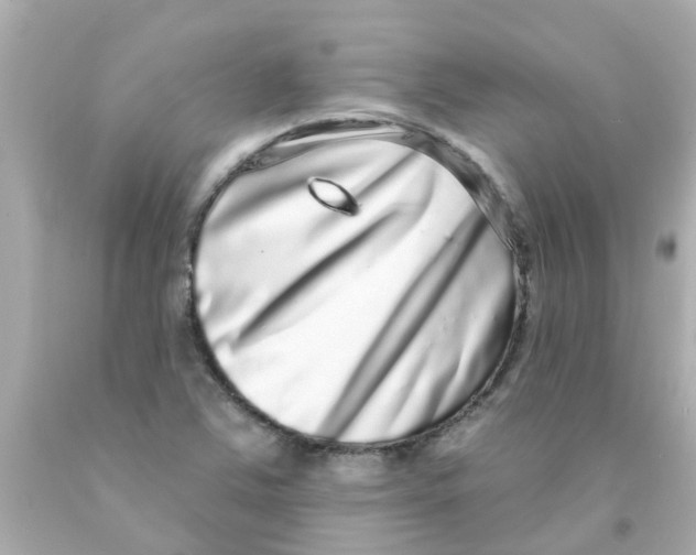 X0000093141363200710241334